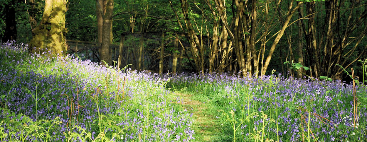 Amy Teasdale Counselling | Bereavement Counselling